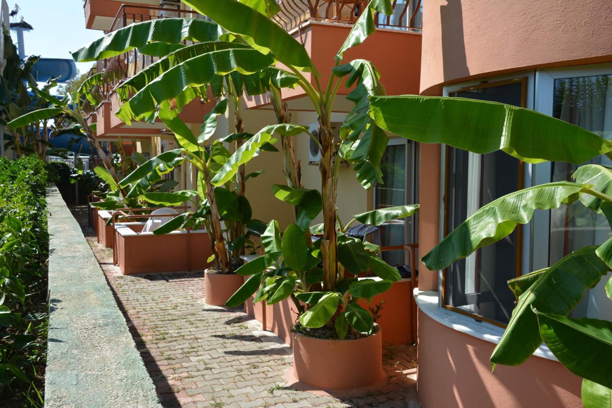Yavuzhan Hotel Side Bilik gambar