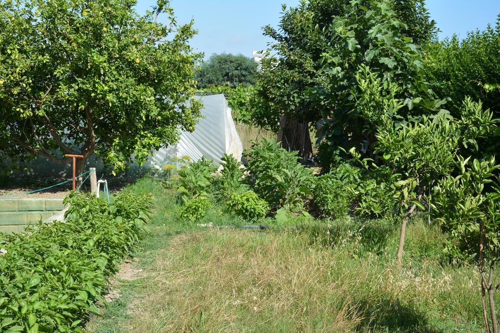 Yavuzhan Hotel Side Luaran gambar